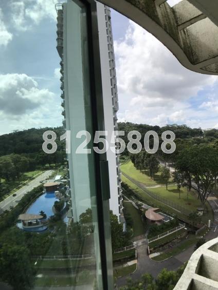 Hillview Park (D23), Condominium #157763742